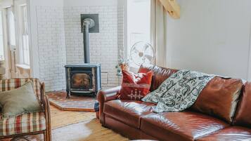 Smart TV, chimenea y libros