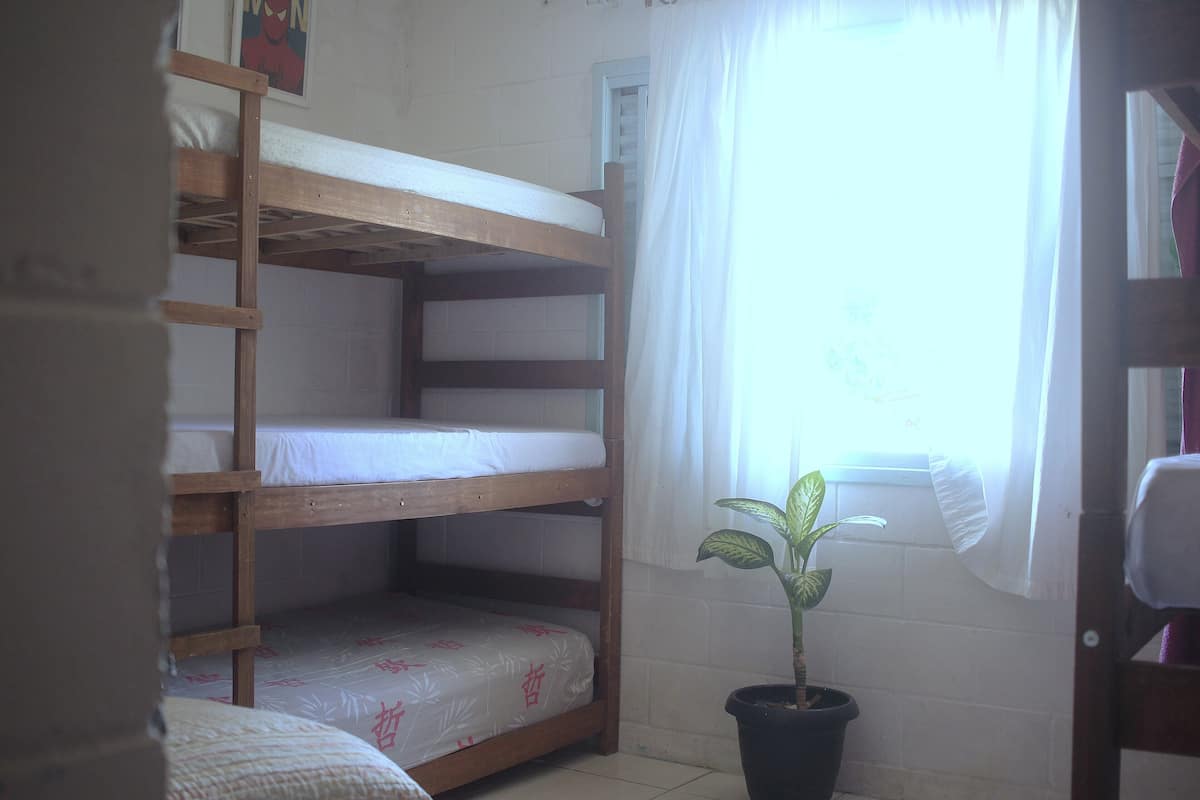 Quarto com beliche, planta em vaso e janela com cortinas.