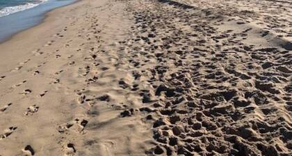 Just Beachy by Swan BnB Management