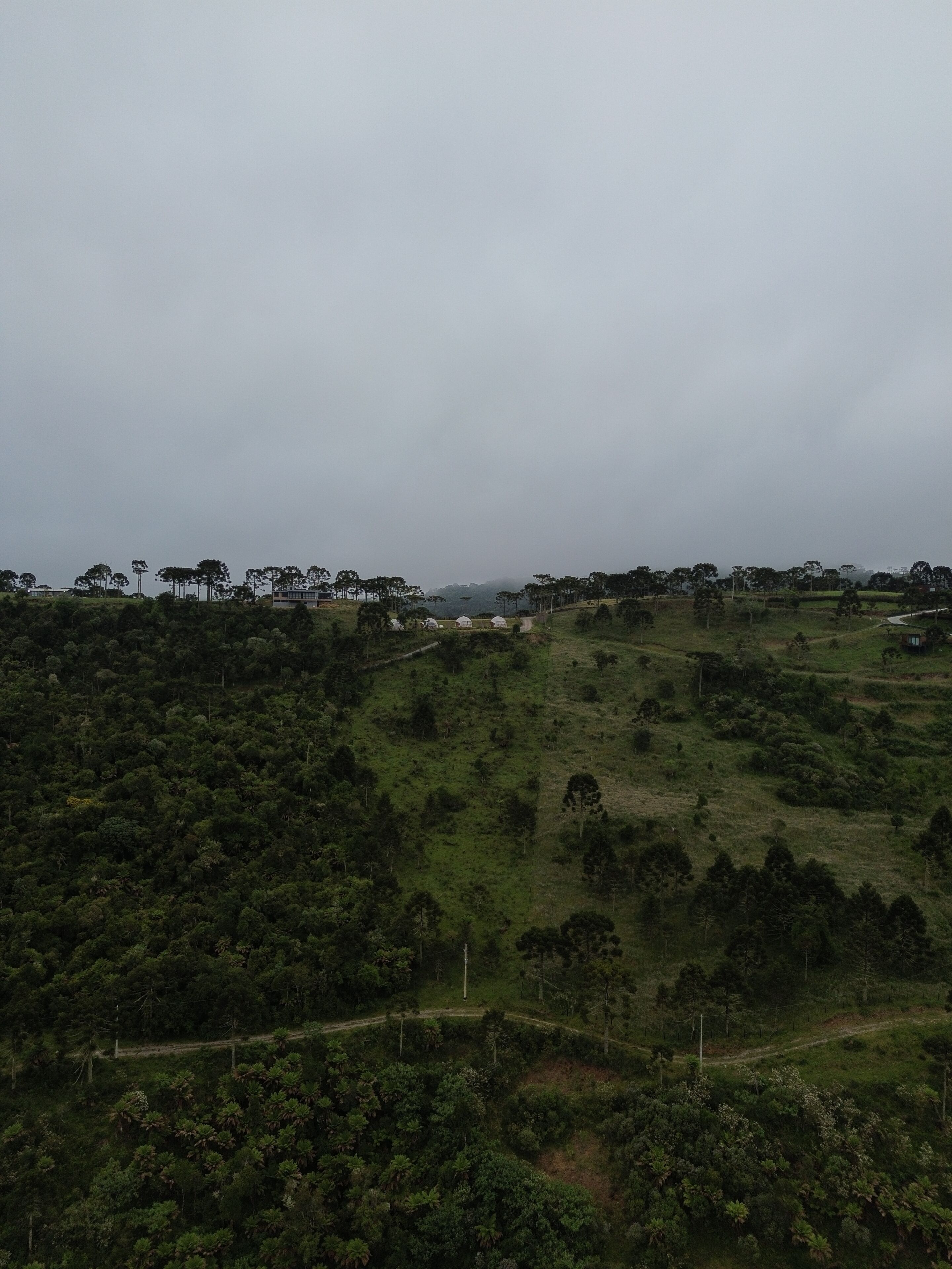 A hilly landscape with scattered trees and a few buildings in the distance.
