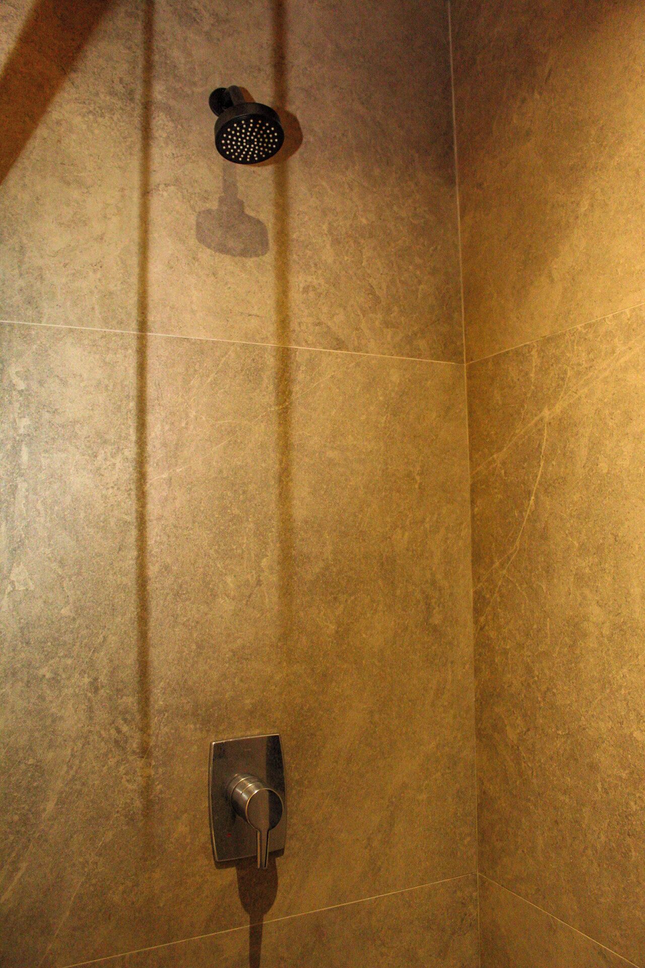 A bathroom with a shower head and a faucet.