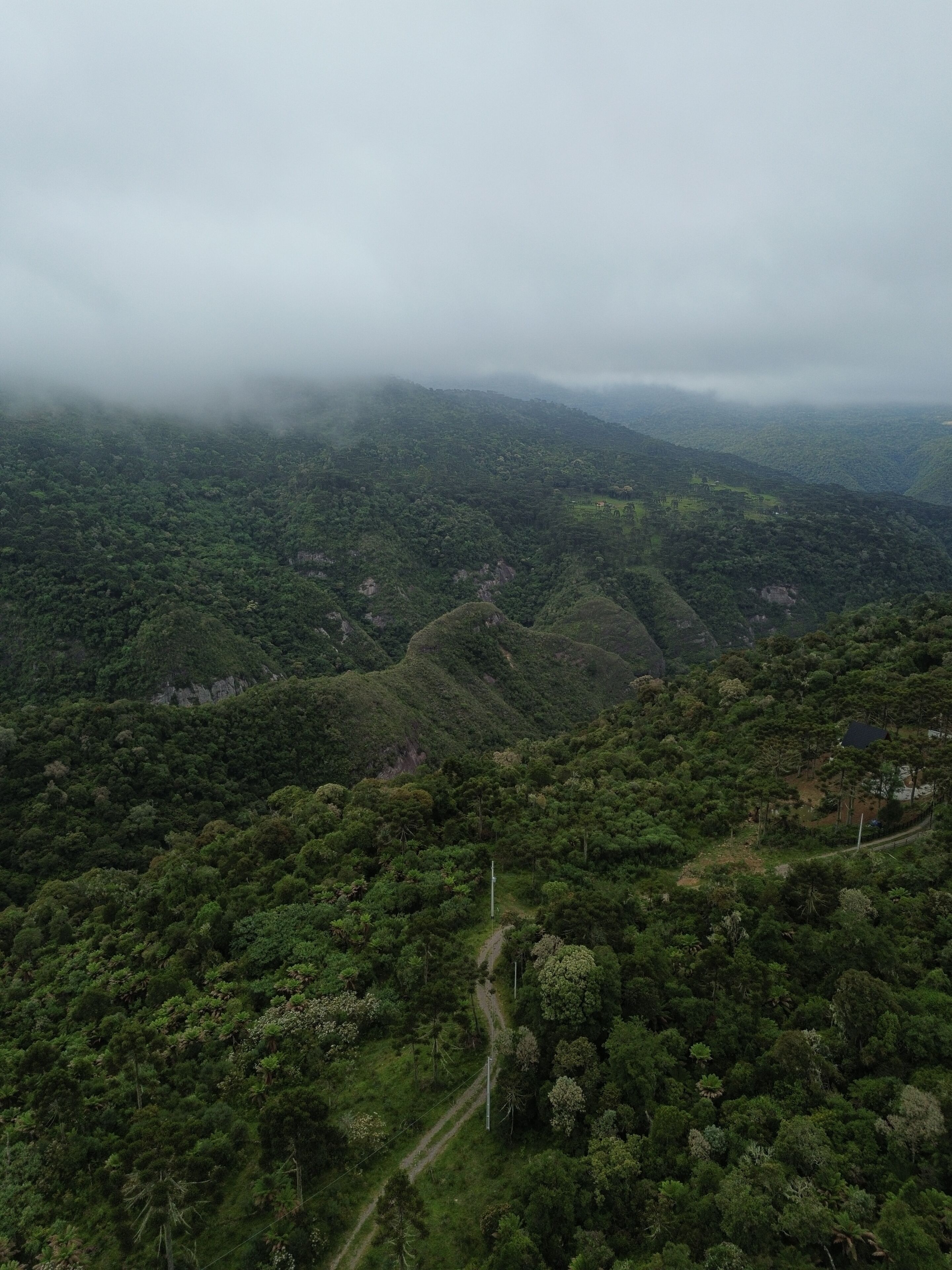 A mountainous landscape with dense greenery and a winding path.