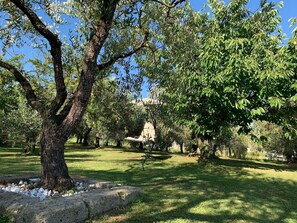 Áreas de la propiedad