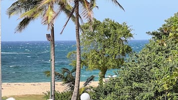 Luxury Villa, Non Smoking, Kitchen | Beach/ocean view