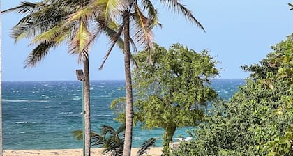 Paradise Villas & Vacations