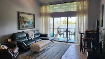 智能电视、DVD 播放器