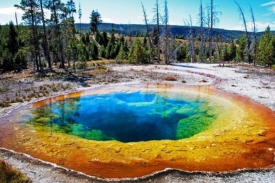 New Listing ⁓Evergreen Escape ⁓Fishing ⁓Boating ⁓Yellowstone ⁓RV parking ⁓ATVing