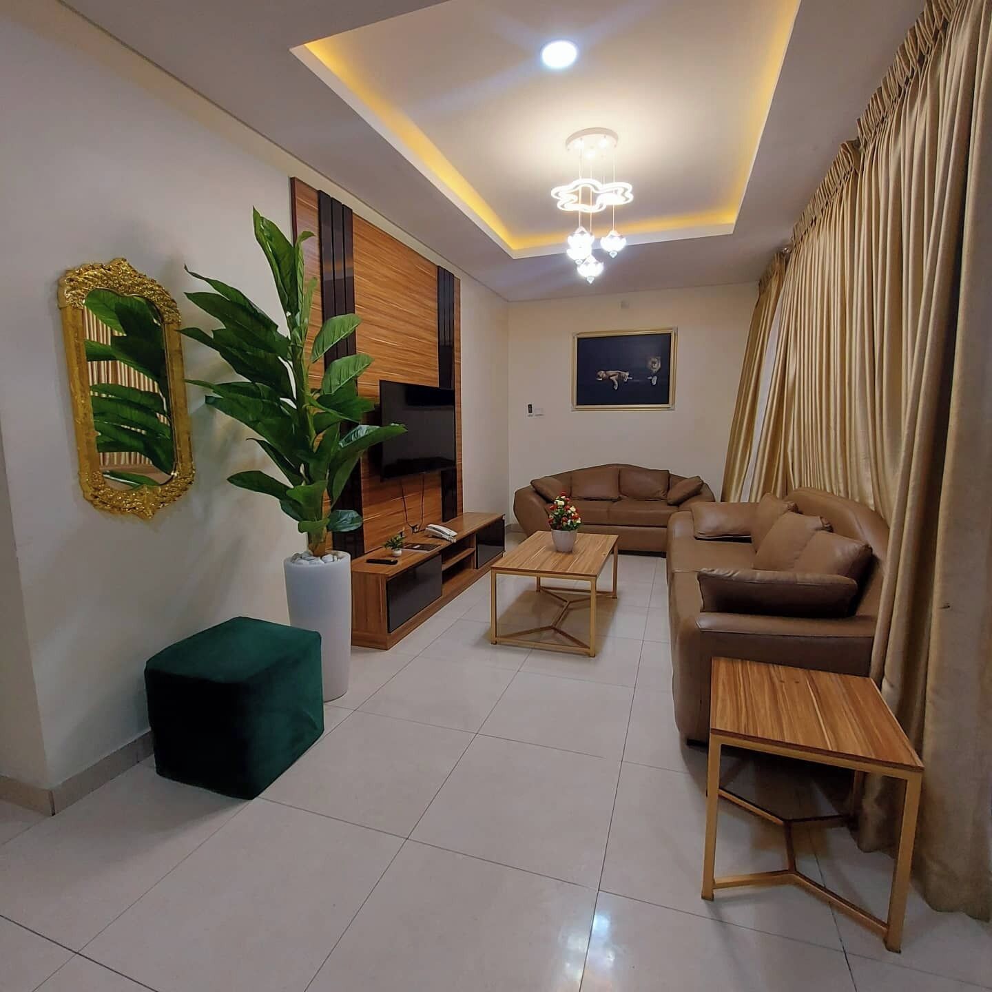 A modern living room with a sofa, a coffee table, a TV, and a large plant.