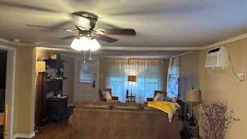 Smart TV, fireplace, books