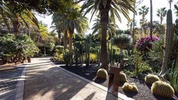 Un jardin agrémenté de différents types de cactus et de palmiers, un chemin pavé et un banc en bois.