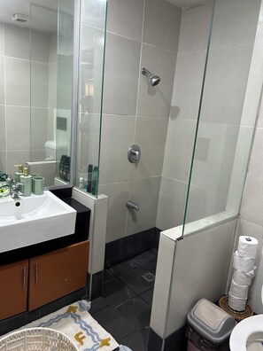 Douche, séchoir à cheveux, serviettes fournies, savon