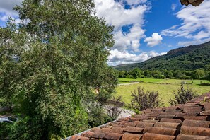 Property grounds - Casa Las Indianas 'Apartment 2' with Mountain Views, Shared Garden & Wi-Fi (Selores)