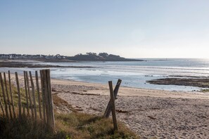 A beach with a wooden fence, sandy shore, and a distant tree line.