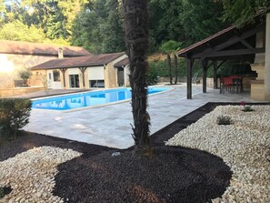 Ein Pool mit einer Steindeck, umgeben von einem Garten mit Kies und einer Palme.