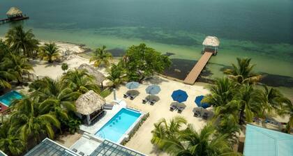 Conmigo Villas South - Oceanfront 3 Bedroom Condo w/ Pool