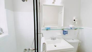 Shower, hair dryer