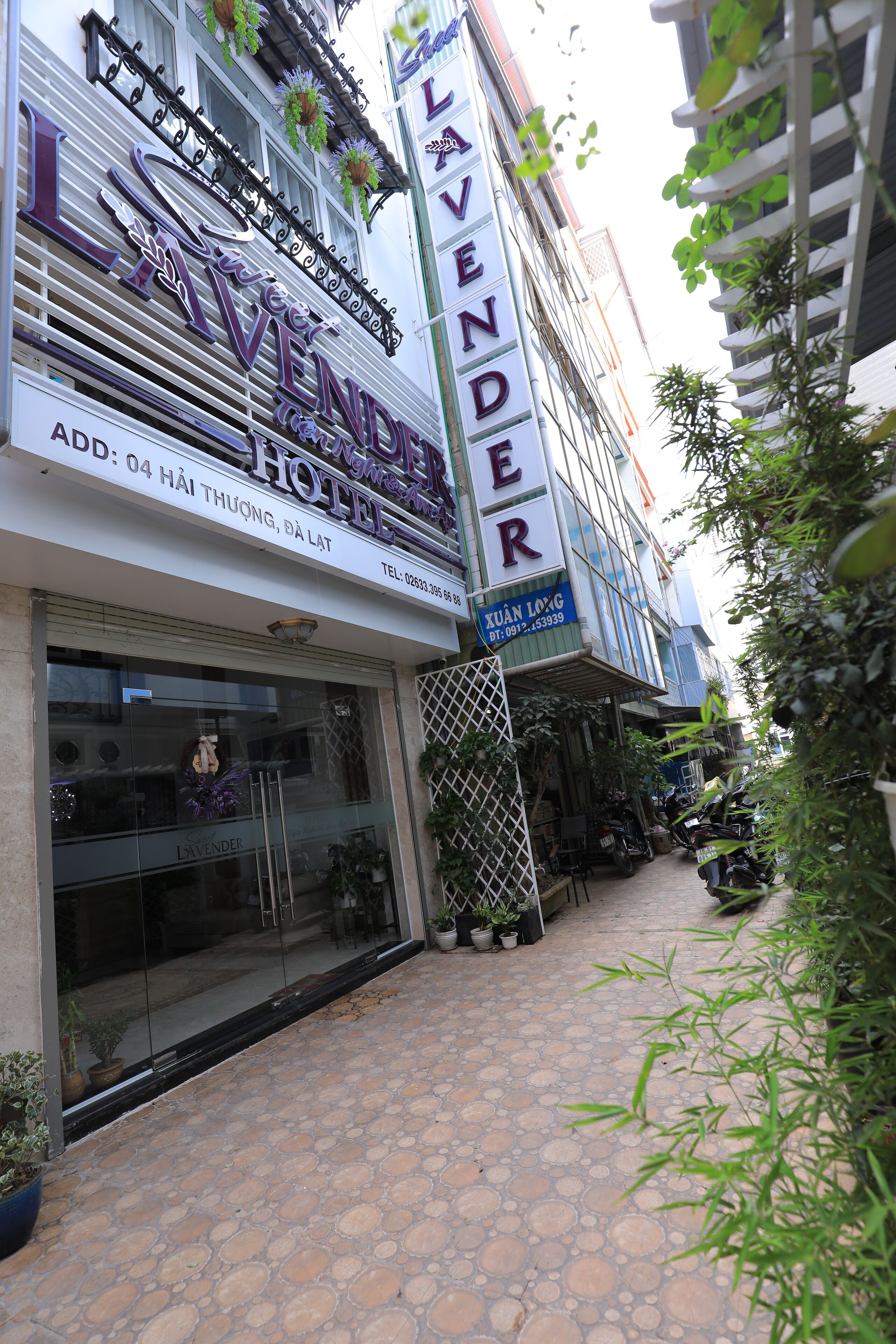 Entrada de un hotel con un letrero que dice 'Lavender Hotel' y un número de contacto.