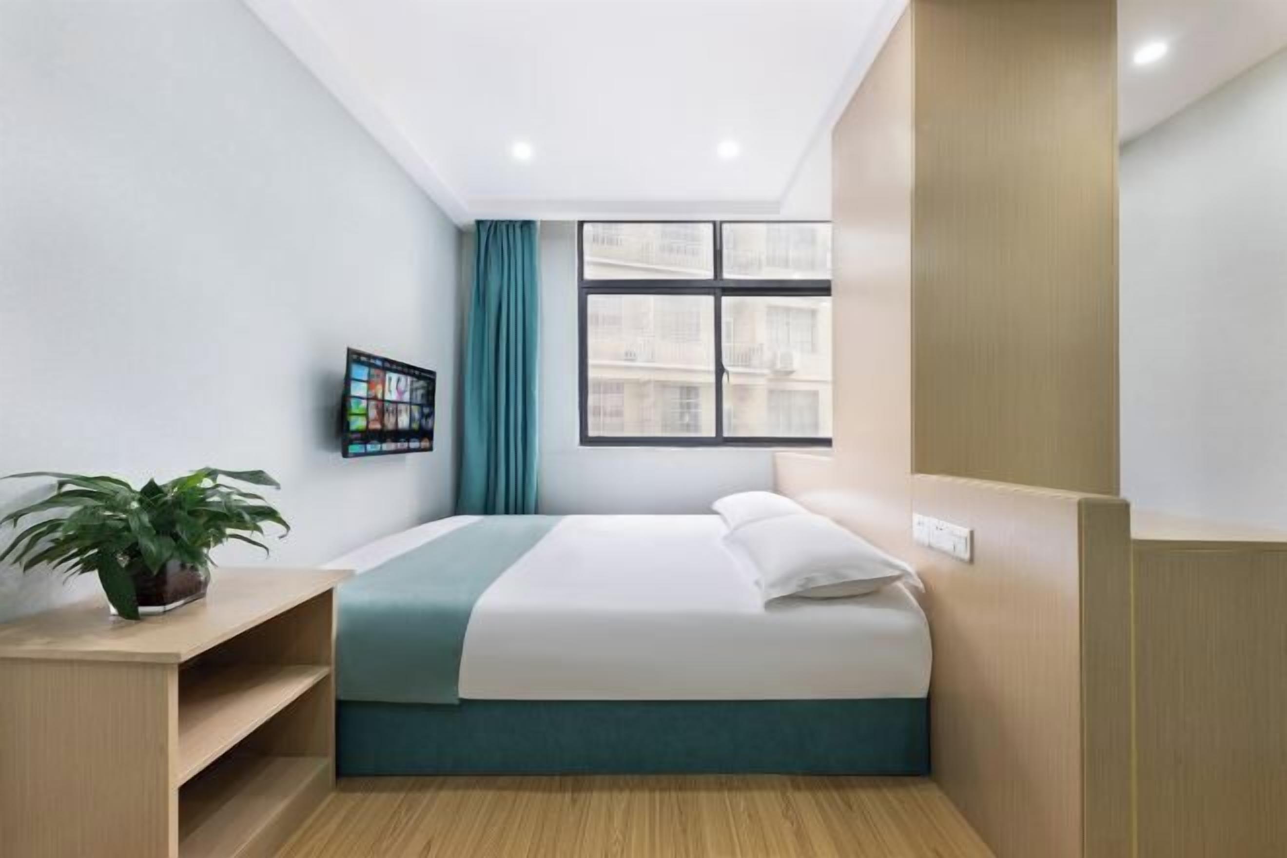 Een moderne hotelkamer met een bed, een klein bureau, een kamerplant, een raam en een televisie bevestigd aan de muur.