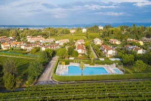 A residential area with a swimming pool, houses, and vineyards.