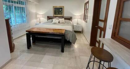 Casa Frida Condesa