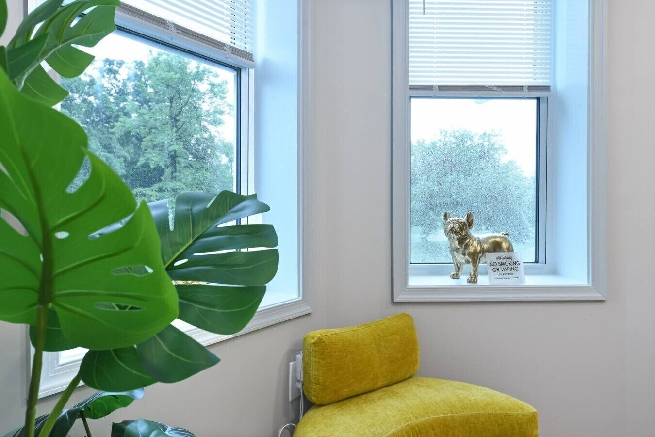 A room with two windows, a potted plant, and a yellow chair.