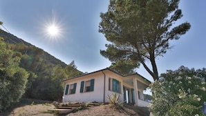 Una casa de dos pisos con techo inclinado, un gran árbol en el frente y cielo despejado.