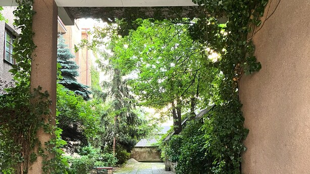 A covered walkway with a brick floor, surrounded by greenery and walls. - Warszauera 11/1 (Kraków)