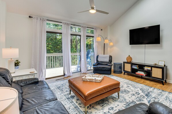 TV, fireplace, books, music library