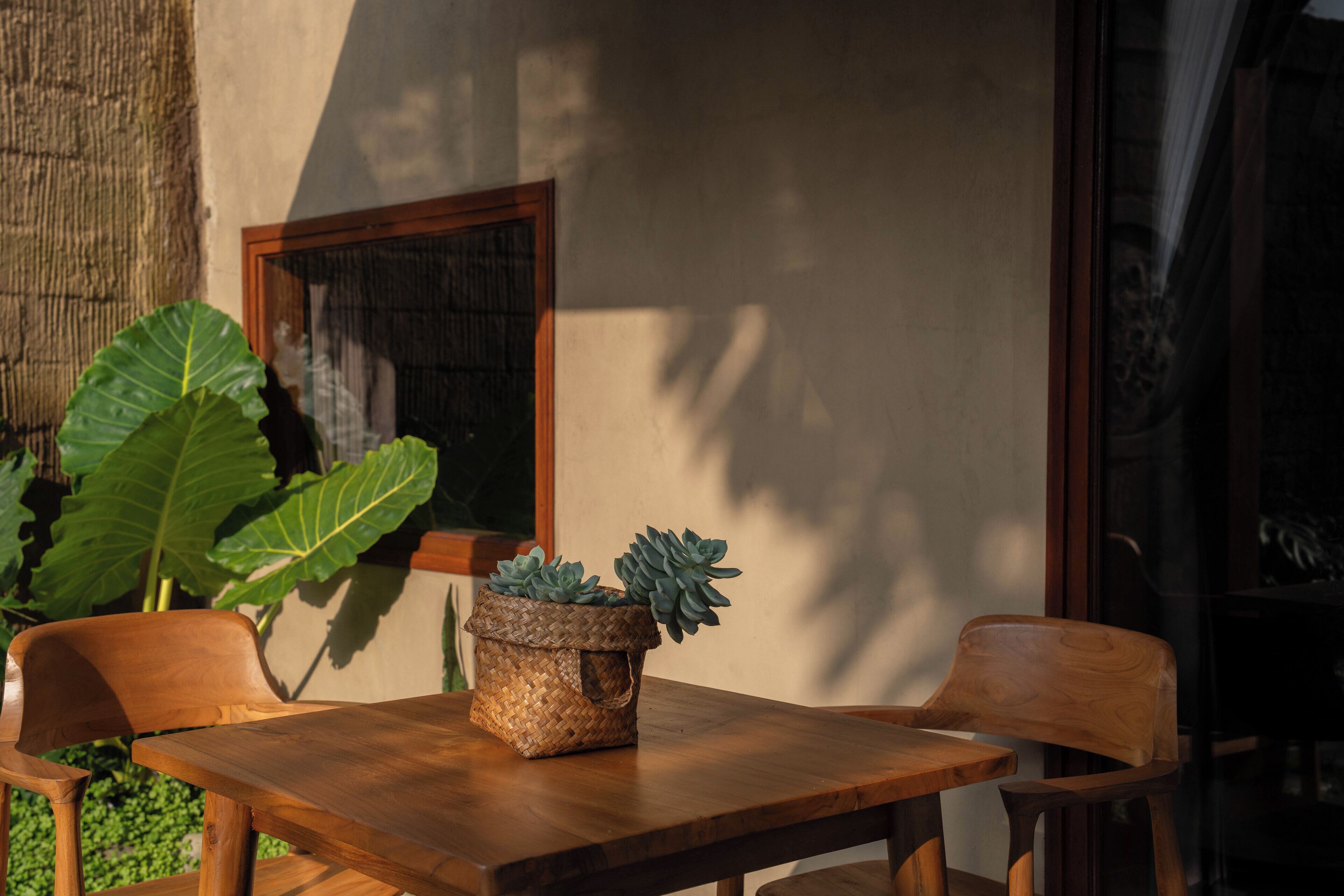 A wooden table with two chairs, a woven basket with succulents, and large green leaves in the background.