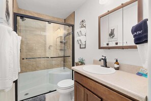 Shower, hair dryer, towels
