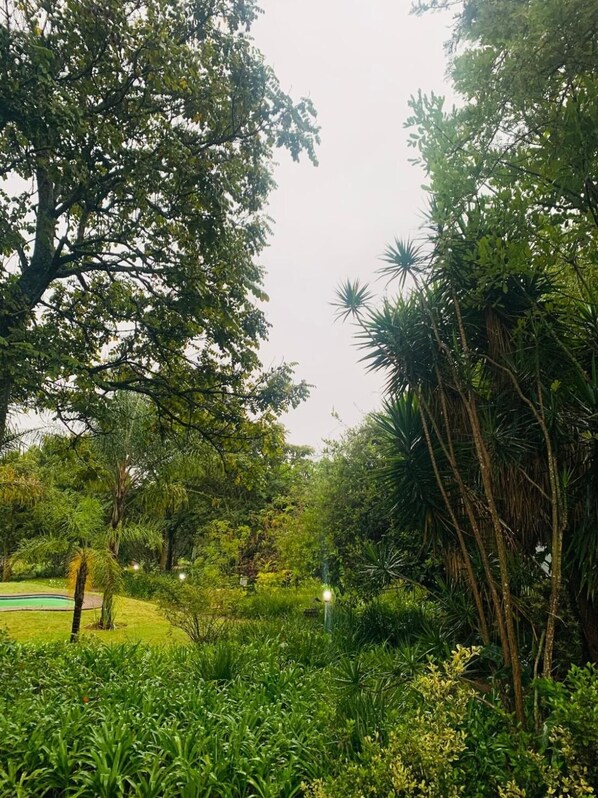 Terrein van de accommodatie