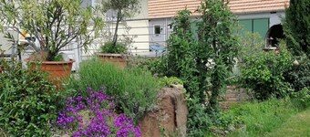 Apartment 'Ferienwohnung Wadle' with Terrace