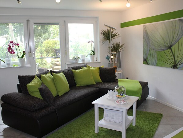 Tv, eldstad, dvd-spelare och en stereo