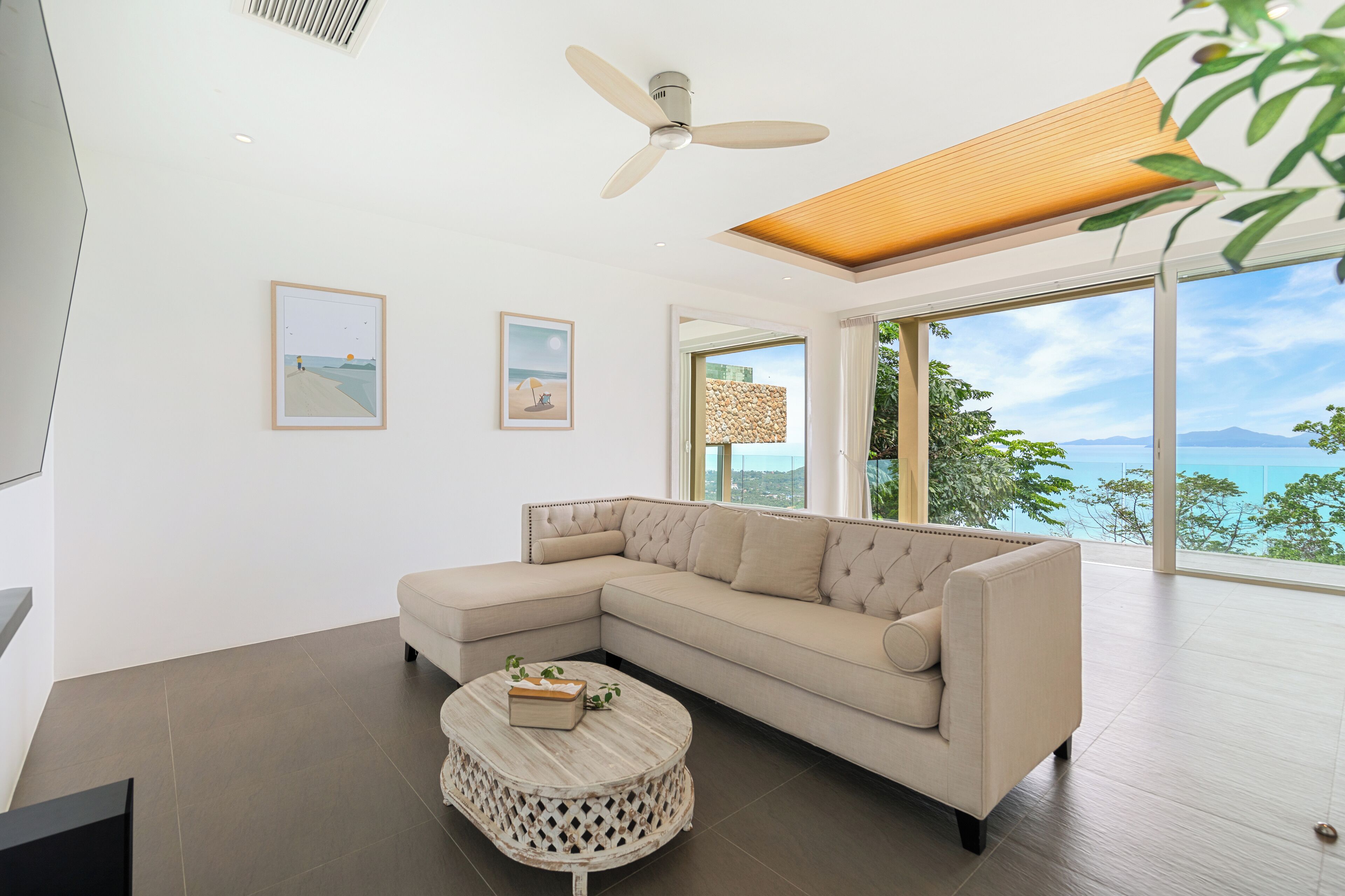 تلفزيون ذكي، مشغل دي في دي، ستيريو