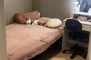 3 Schlafzimmer, Bügeleisen/Bügelbrett, kostenloses WLAN, Bettwäsche