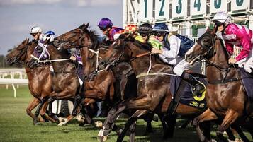Una carrera de caballos con jinetes.