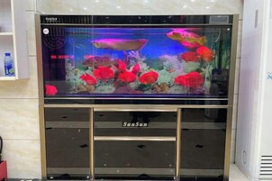 Un acuario con diversos peces y coral, sobre un mueble de marca SunSan.