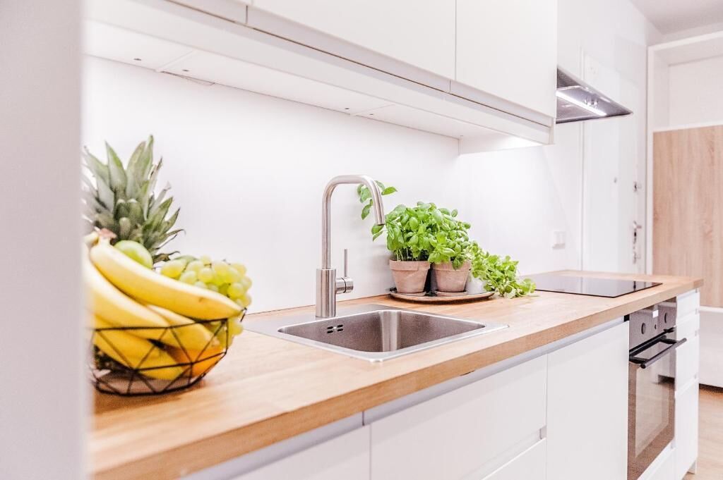 A modern kitchen with a wooden countertop, stainless steel sink, and potted plants.