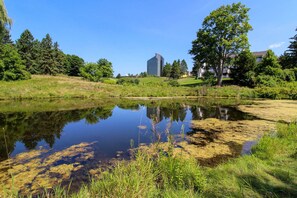 Property grounds - Tee Time on Valleyway Drive (Williamsburg)