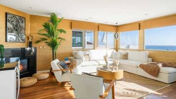 Una televisión, una chimenea, videojuegos, libros