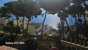 Une vue sur la côte, avec des arbres, un ciel dégagé et une étendue d’eau.