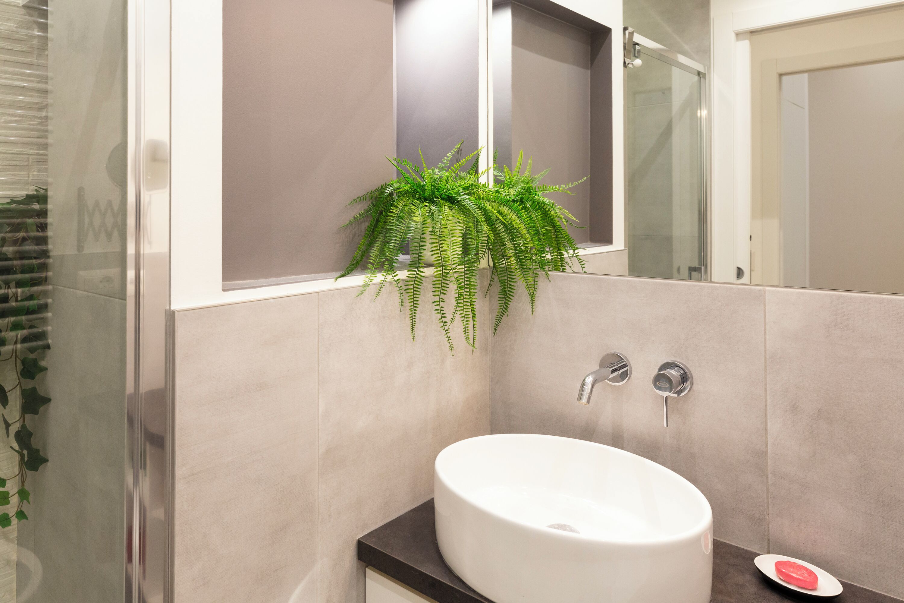 A bathroom with a white sink, a mirror, and a green plant.