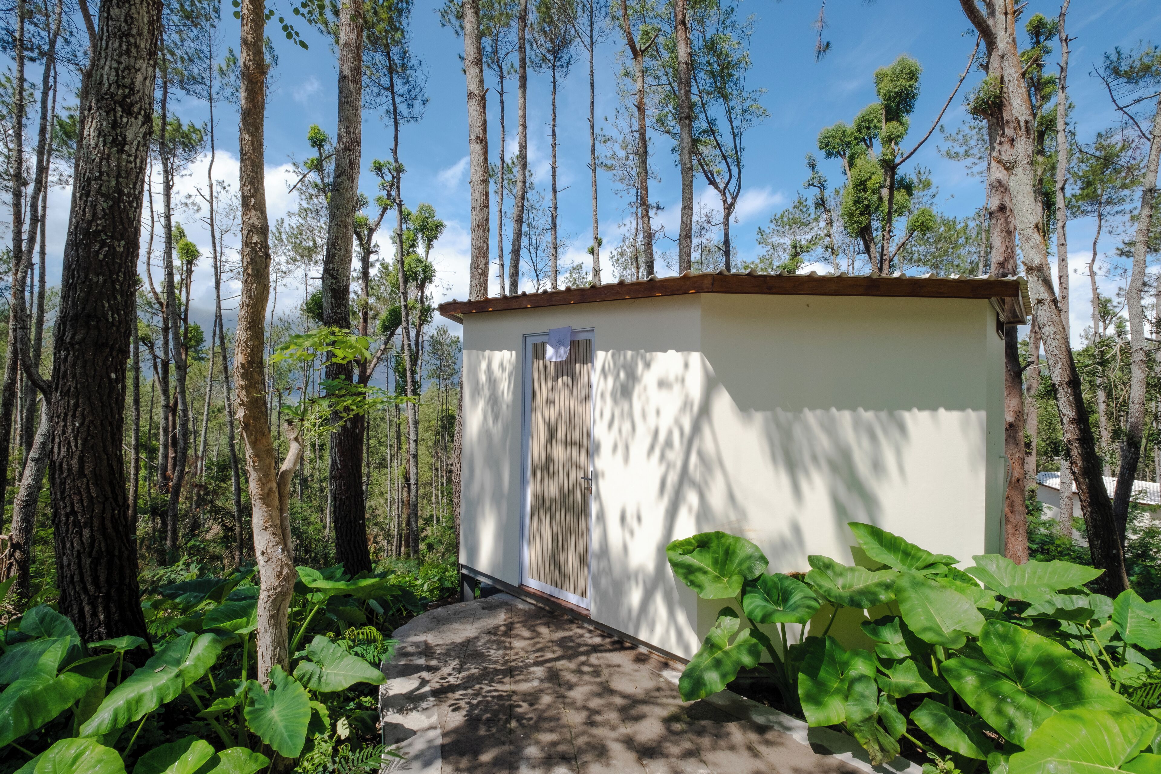 Un edificio pequeño de un piso con fachada blanca y tejado marrón, rodeado de árboles altos y vegetación exuberante.