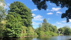 A serene riverside view with dense greenery and a clear sky. - wellness studio Nottingham city centre (Nottingham)