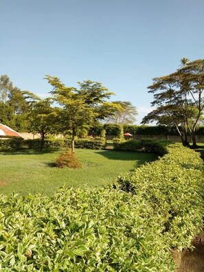 Garden - Lux Suites Marura Holiday Villa Nakuru (Nakuru)