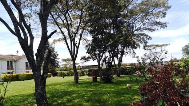 Un jardín cuidado con varios árboles, césped y algunas plantas en flor.