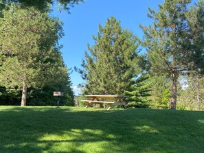 Ett picknickbord på en gräsyta omgiven av träd.