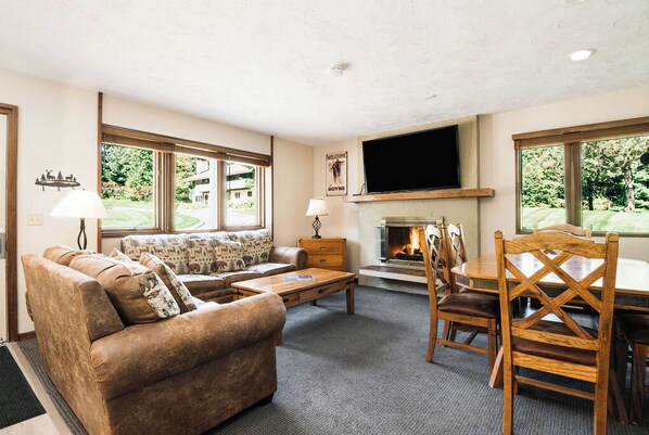 Télévision, cheminée, espaces bureaux