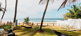 White Nest at the Beach