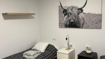 Appartement | 3 slaapkamers, een strijkplank/strijkijzer, gratis wifi, beddengoed